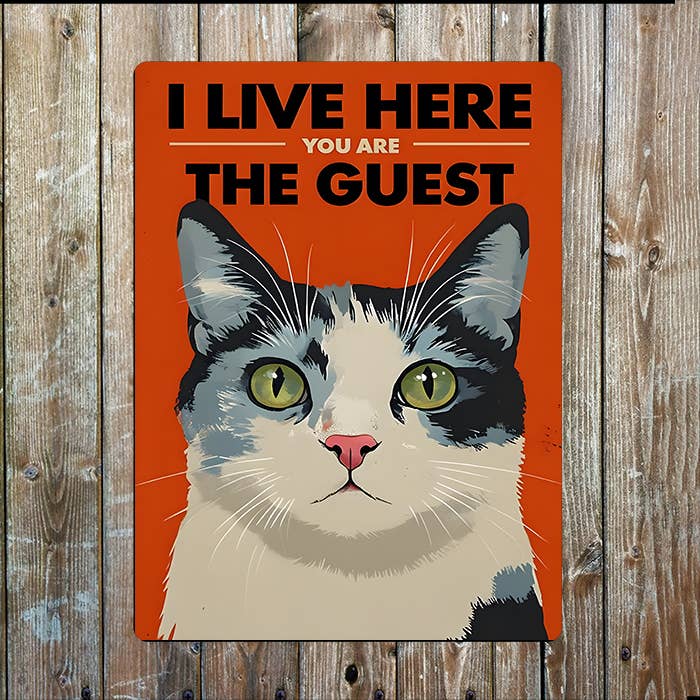Cat I Live Here You Are The Guest Retro Metal Sign