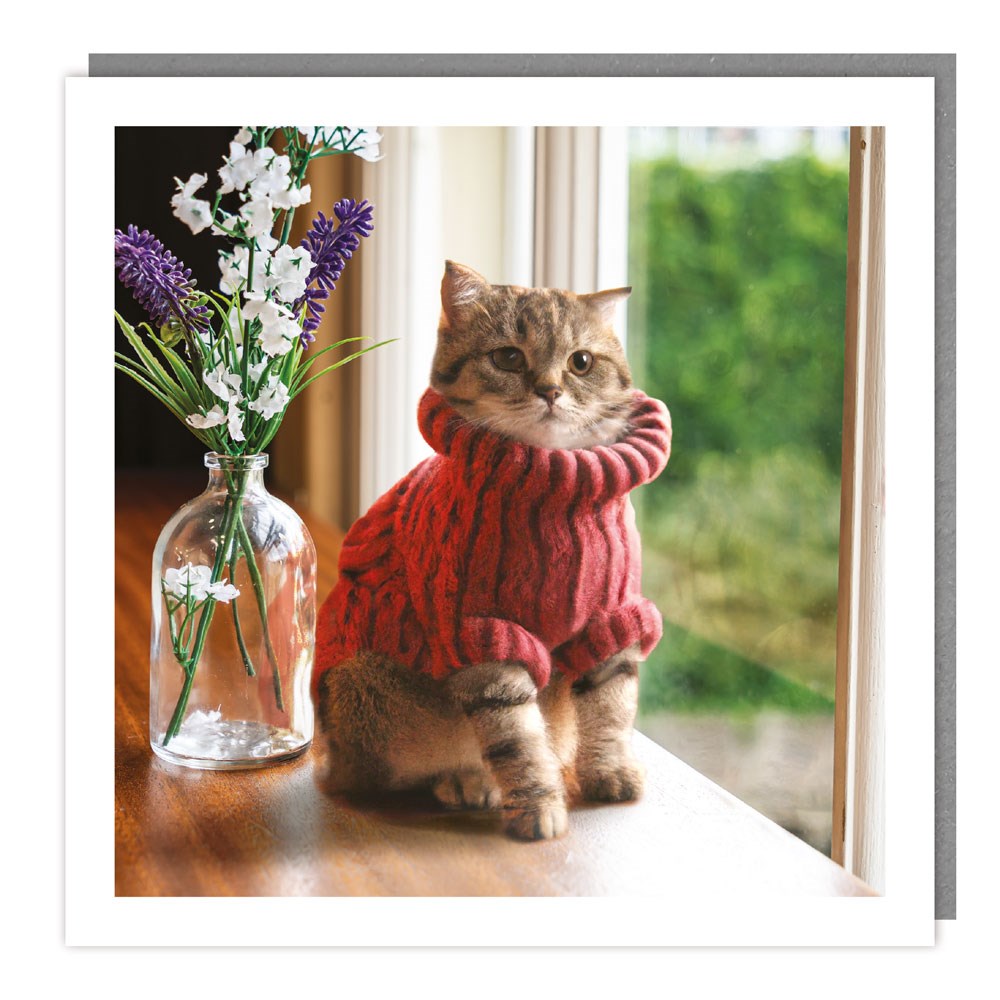 Jumper Cat Photographic Card