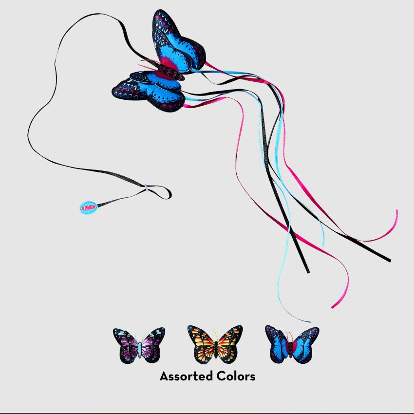 KONG Butterfly Teaser