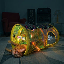 Cat playing with a colorful tunnel toy in a dimly lit room.