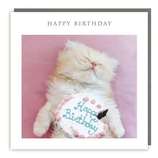 Cake Kitty Photographic Card