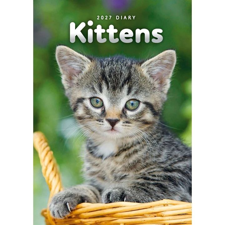 Kittens Desk 2027 Diary