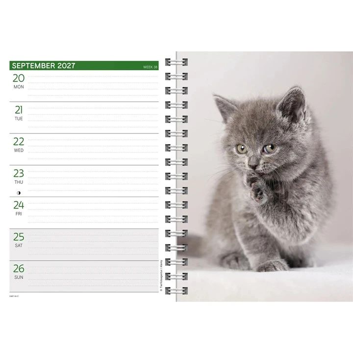 2027 wiro diary spread with a grey kitten with the page opposite divided into 7 days to note daily engagements