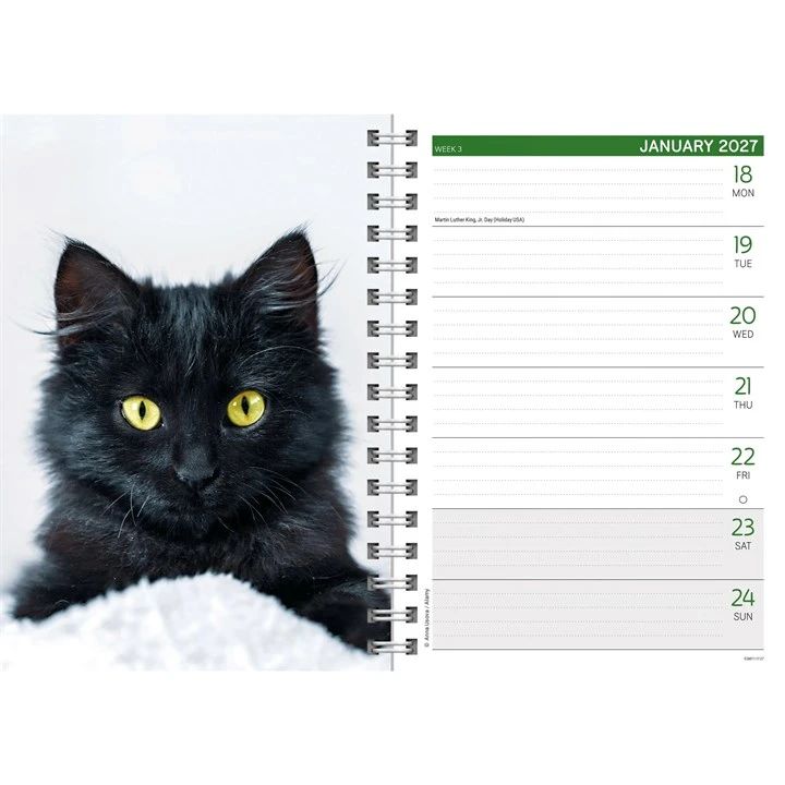 Spiral bound week to view diary with a black cat and space to note daily engagements