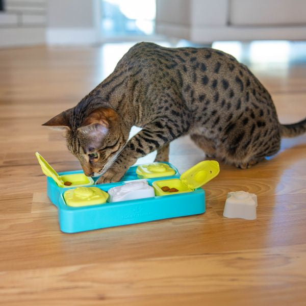 Kitty Cube Cat Puzzle Toy