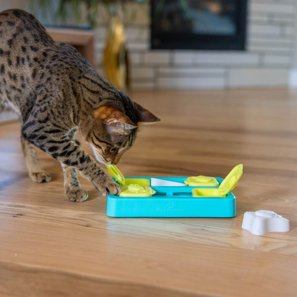 Kitty Cube Cat Puzzle Toy