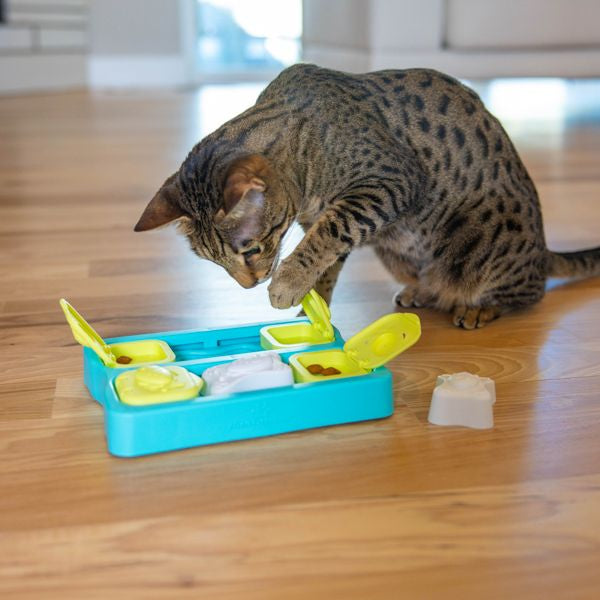 Kitty Cube Cat Puzzle Toy