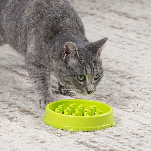 Petstages Kitty Slow Feeder