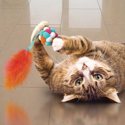 KONG Cat Active Bubble Toy