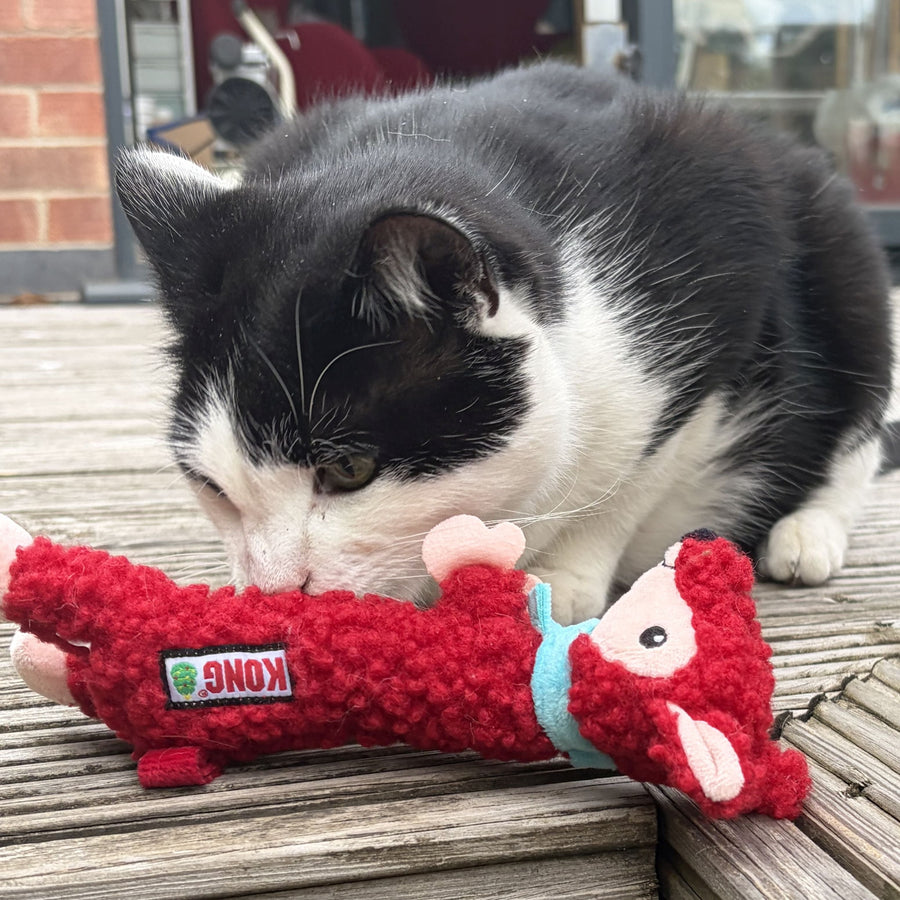 A black and white cat lies on a wooden deck playing with a red plush Kong fox.