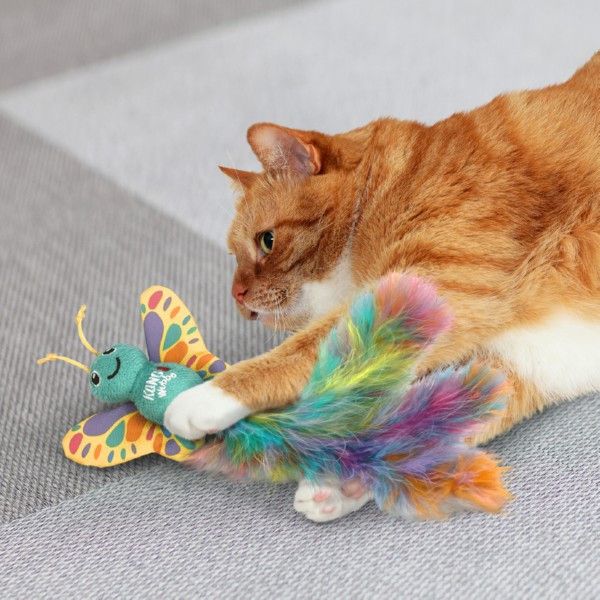 Cat playing with a colourful butterfly-shaped toy on a grey surface