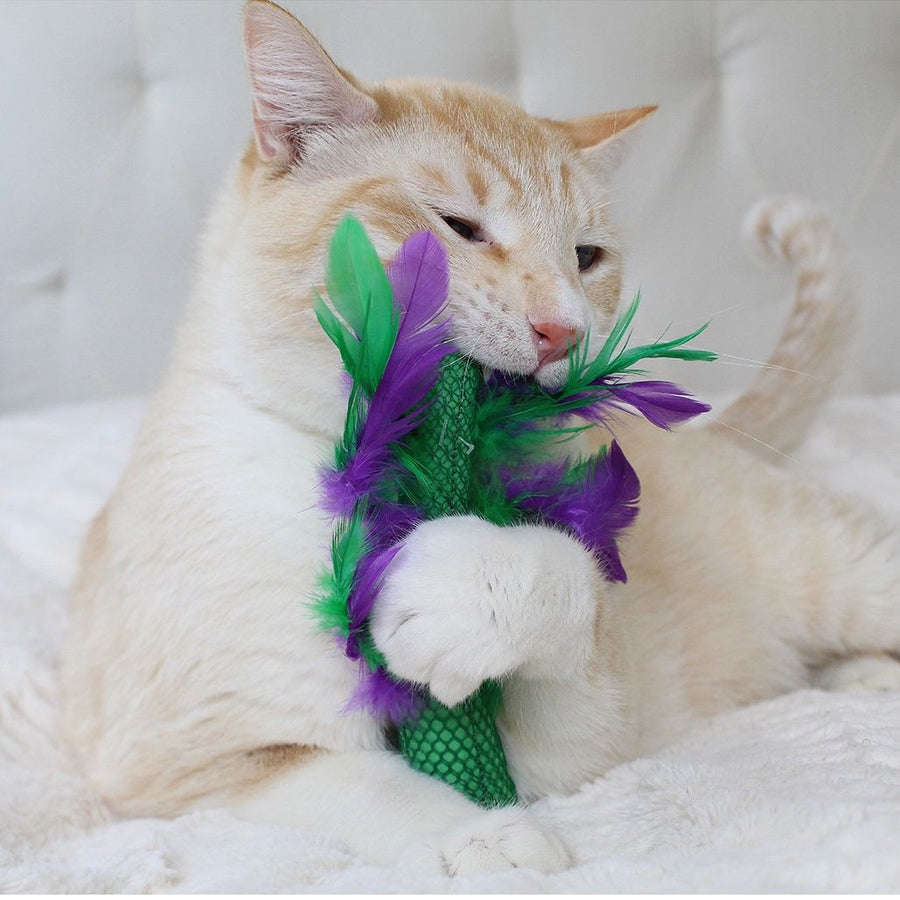 Krazy Kale Dental Chew Cat Toy