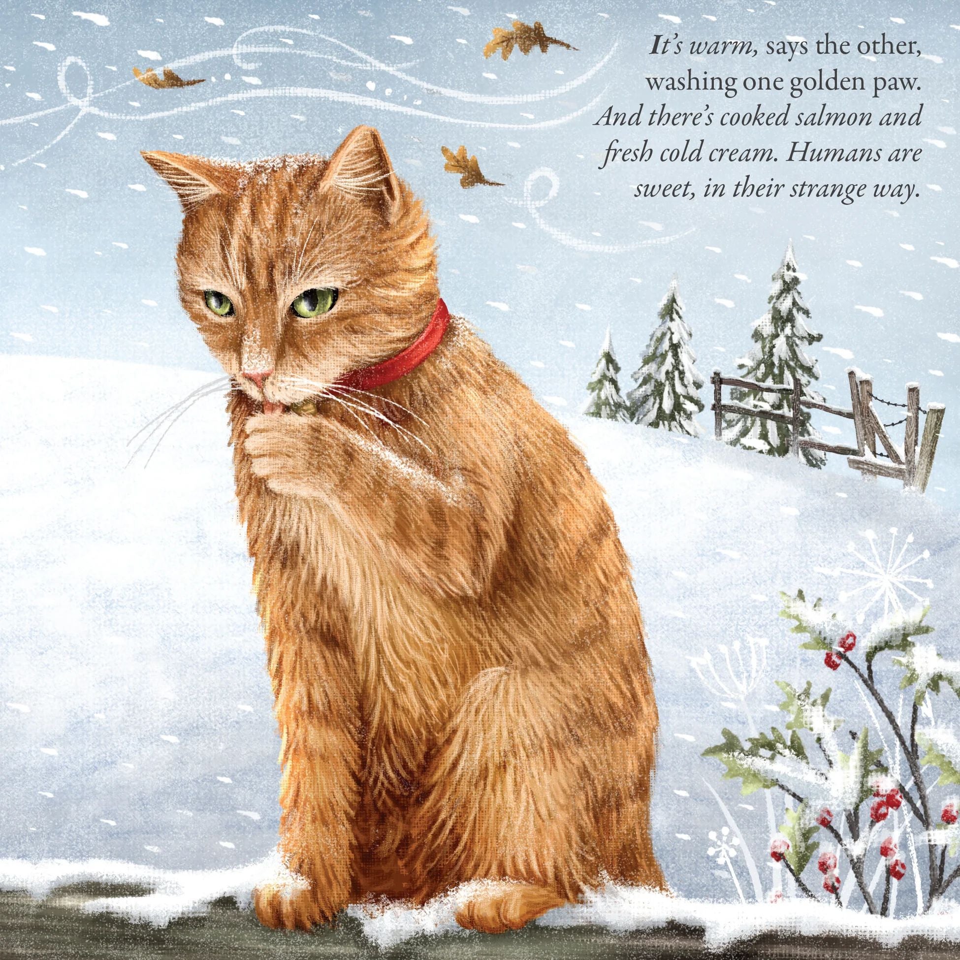 Let it Snow Illustrated Book