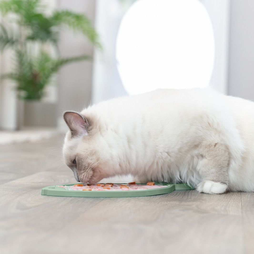 Lick N Snack Mat