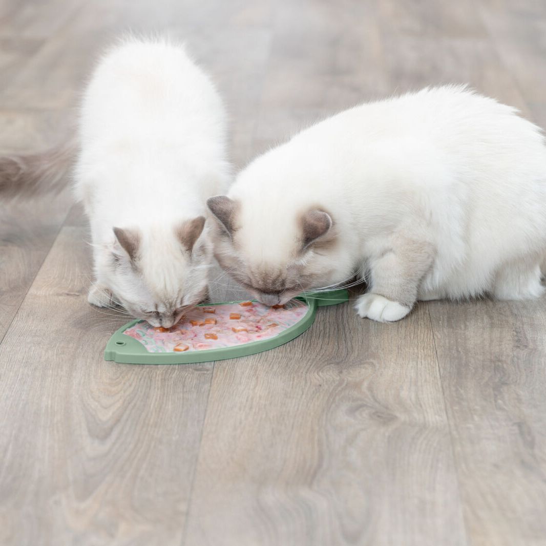 Lick N Snack Mat