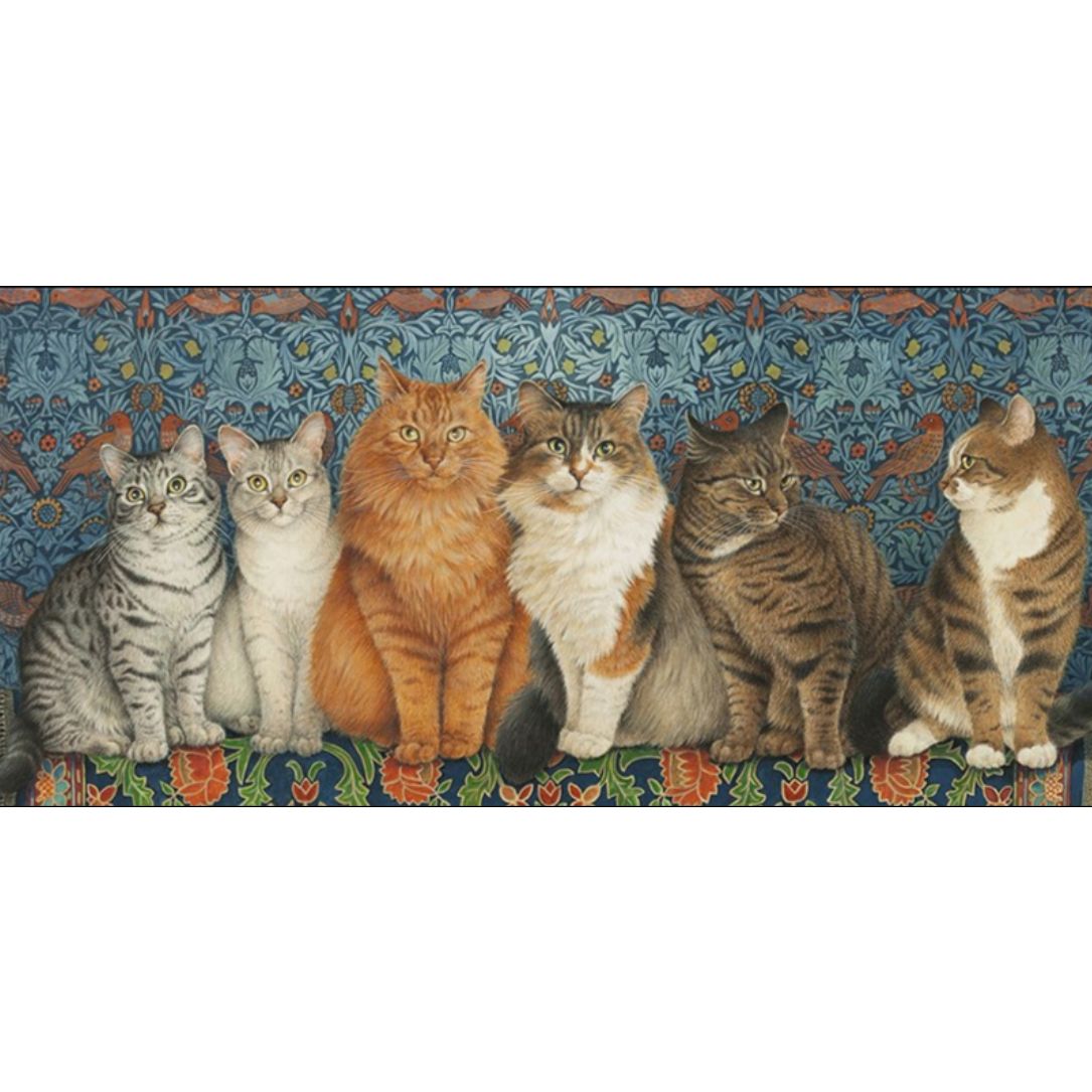 Line-up of Cats Greetings Card