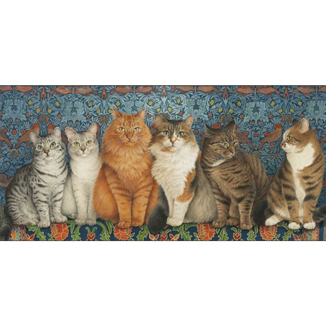 Line-up of Cats Greetings Card, Lesley Anne Ivory