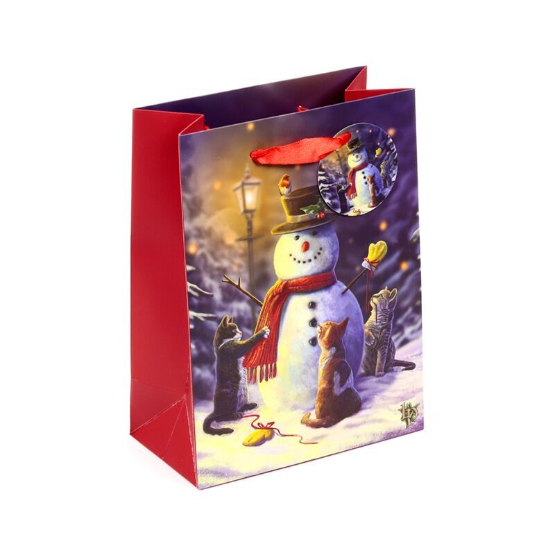 Cats and Snowman Gift Bag, pack of 5