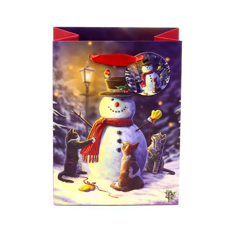 Cats and Snowman Gift Bag, pack of 5