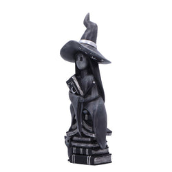 A dark grey gothic witch figurine wearing a tall pointed hat and holding a book, standing on a stack of books