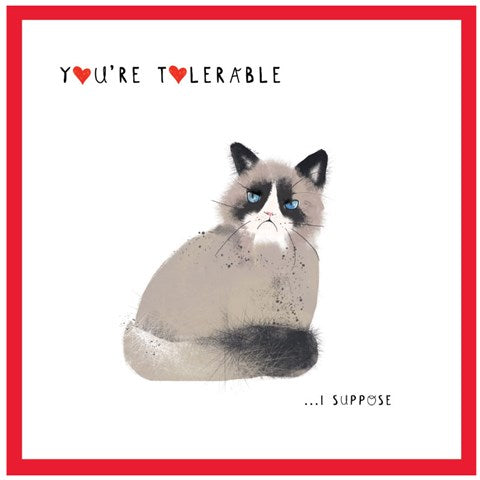 Valentine You're Tolerable... Card Grumpy Cat