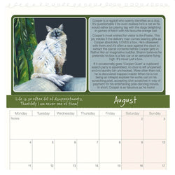 Magnificent Moggies 2025 Wall Calendar