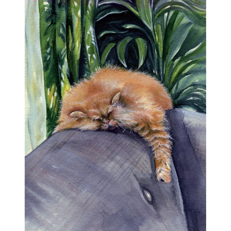 Magnificent Moggies 2026 Diary