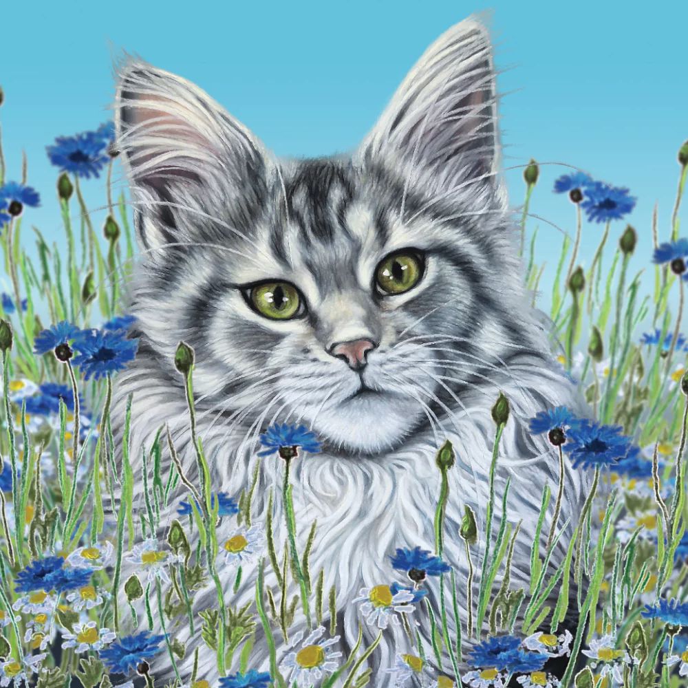 Maine Coon Cat Art Greetings Card, The Cat Gallery