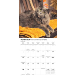 Calendar page for November with a maine coon cat on a yellow blanket