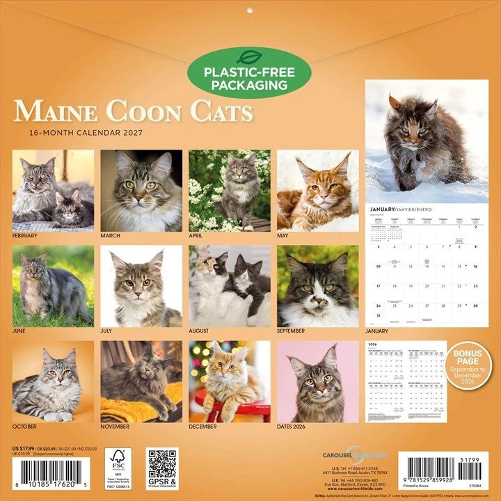 2027 square wall Calendar for Maine Coon Cats with images of cats on an orange background