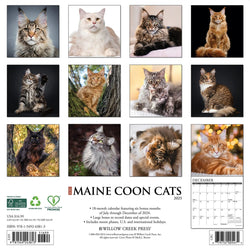 Maine Coon Cats 2025 Wall Calendar