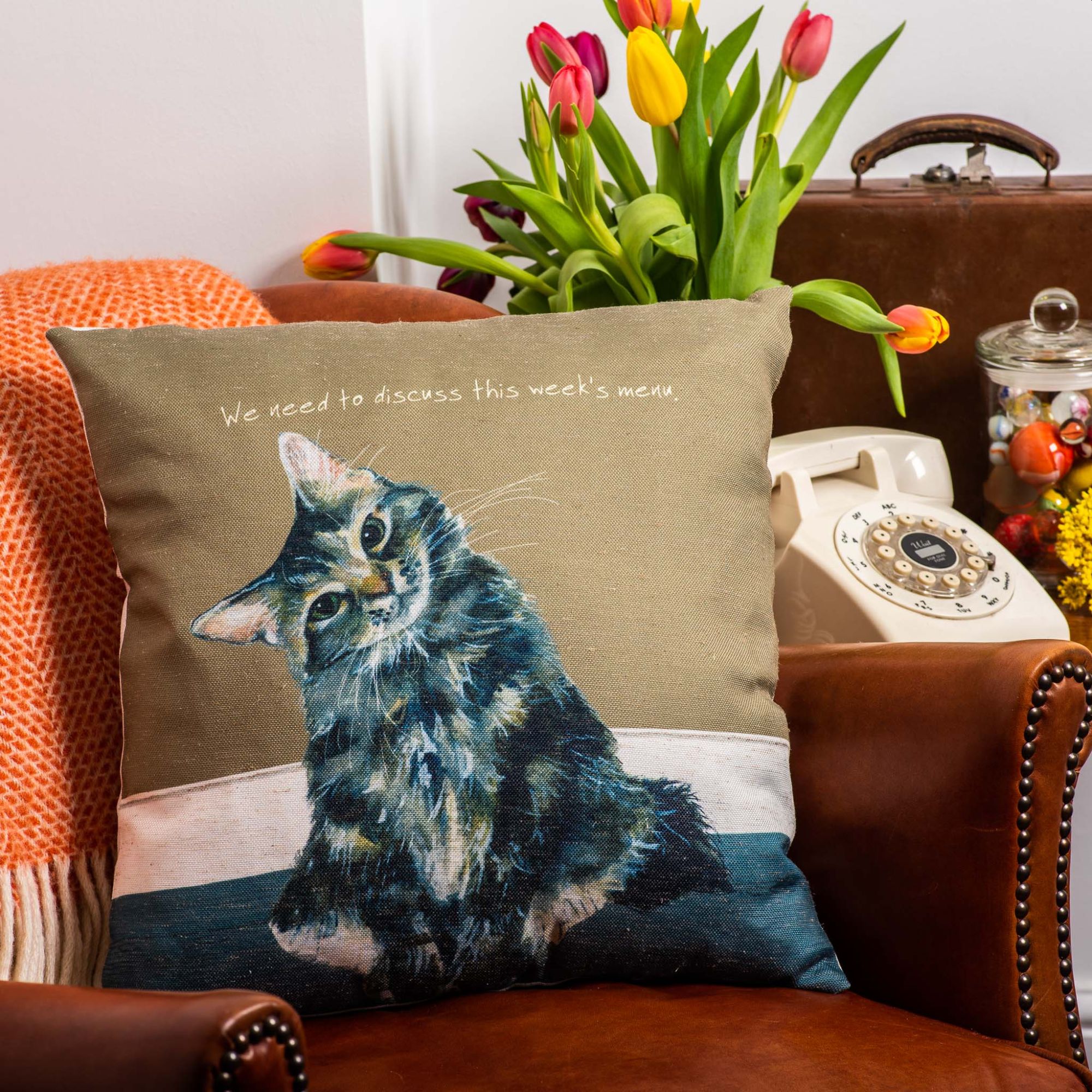 Tabby Cat Menu Cushion, The Cat Gallery