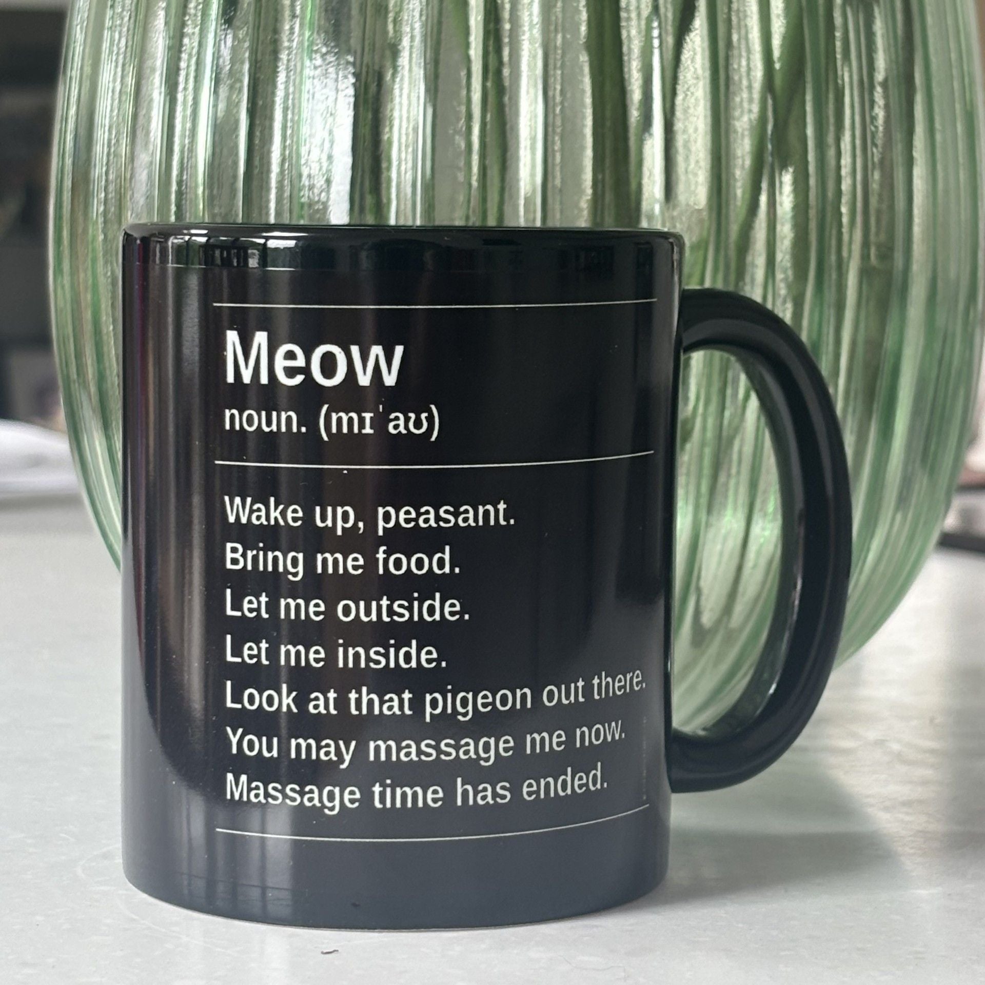 Meow Definition Mug