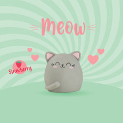 Meow Scented Eraser, The Cat Gallery