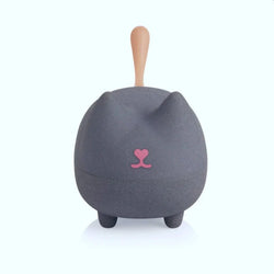 Kitty Travel Speaker