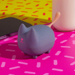 Kitty Travel Speaker