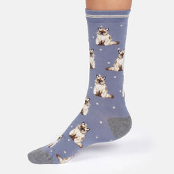A single crew sock worn on a foot, featuring a repeating print of Ragdoll cats on a dusty blue background