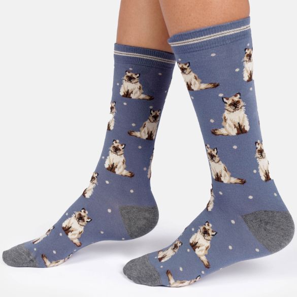 Ragdoll Cat Bamboo Socks, UK 7-11
