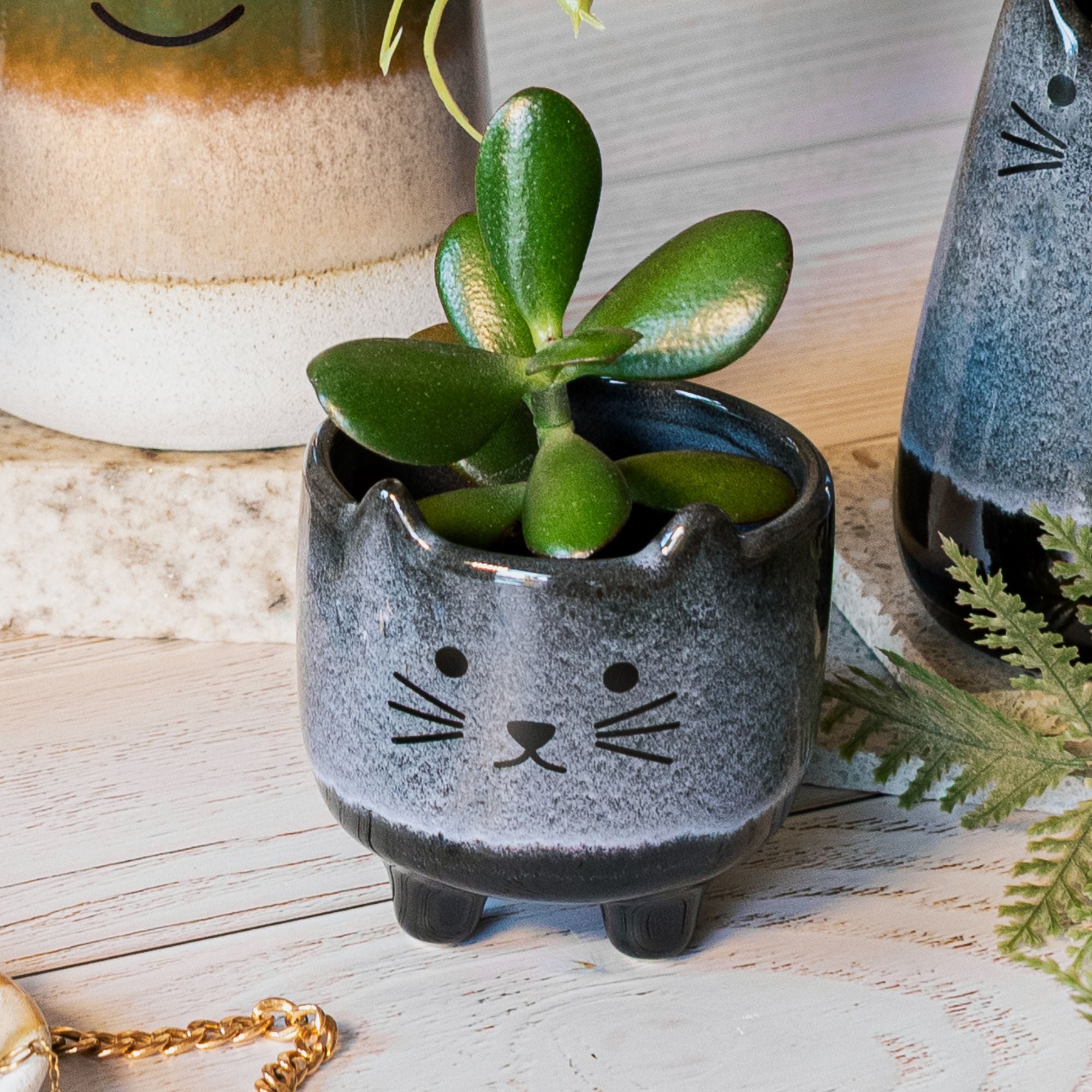 Mohave Cat Mini Planter
