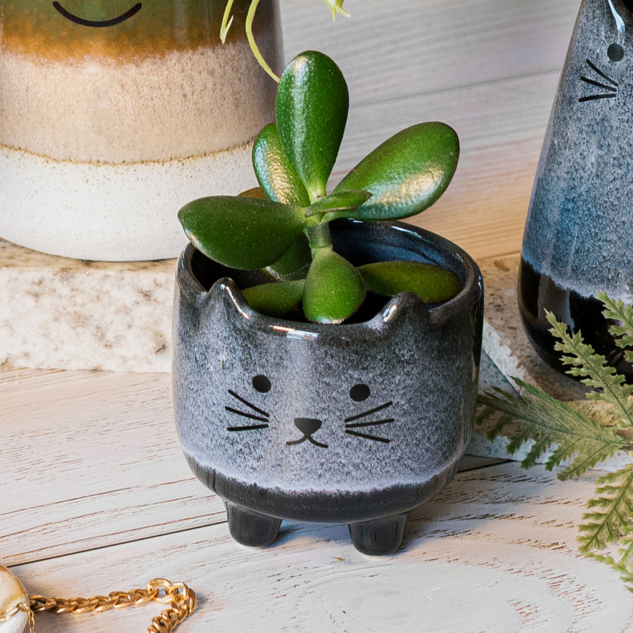 Mohave Cat Mini Planter
