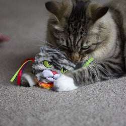 Moody Moggy Rainbow Grab Toy