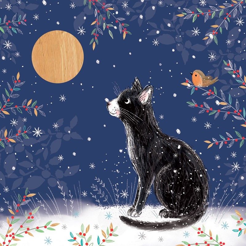 Cat Moon Gazing Charity Christmas Card Pack