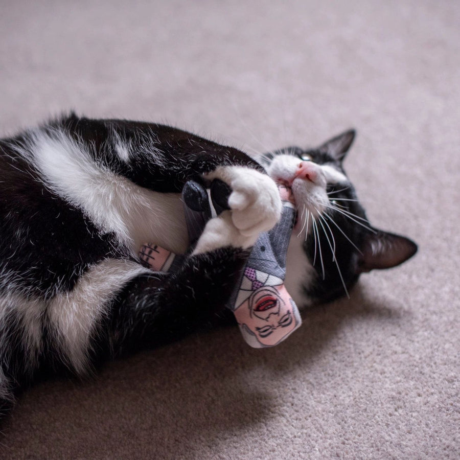 Nigel Catnip Cat Toy