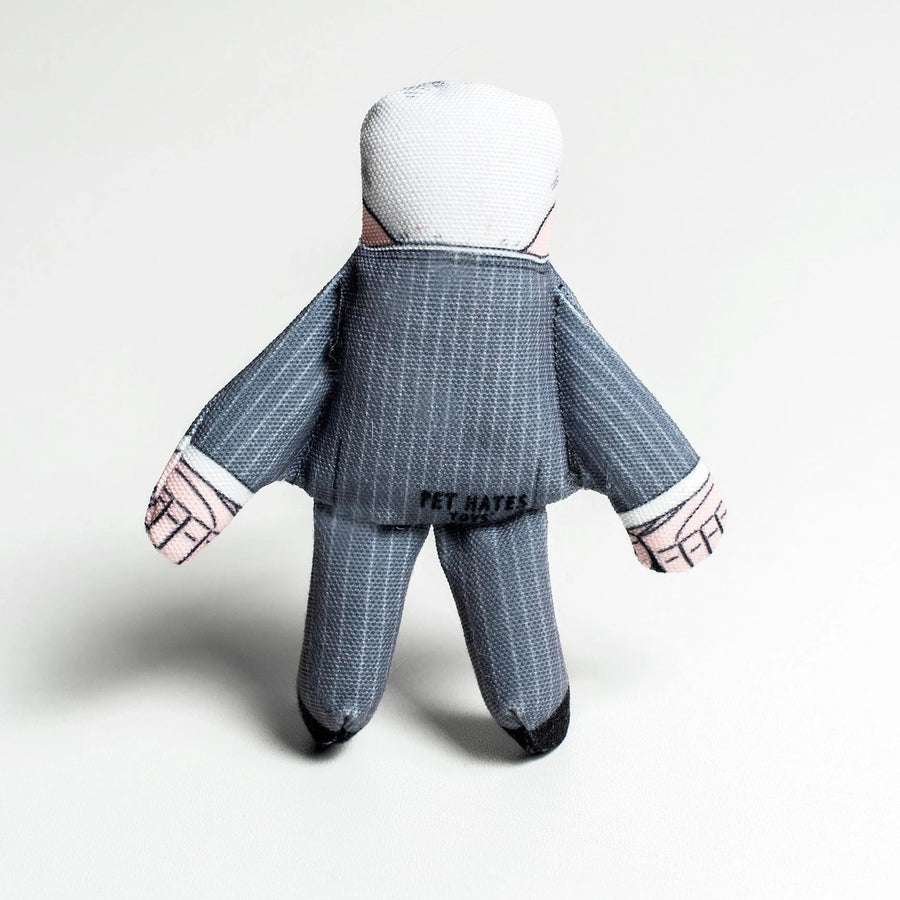 Nigel Catnip Cat Toy