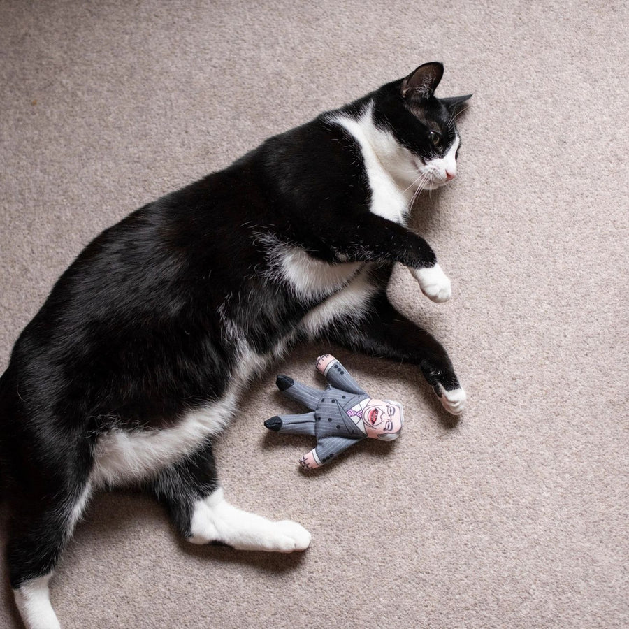 Nigel Catnip Cat Toy