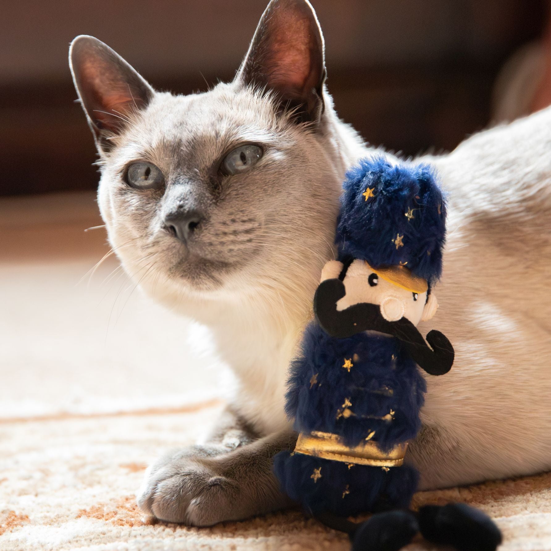 Festive Nutcracker Cat Toy
