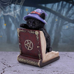 Peek-a-Book Witch Cat Bookend