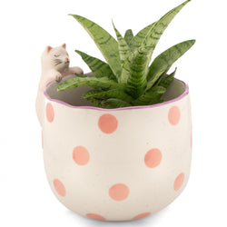 Peeking Cat Planter
