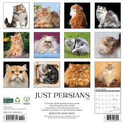 Persian Cats 2025 Wall Calendar