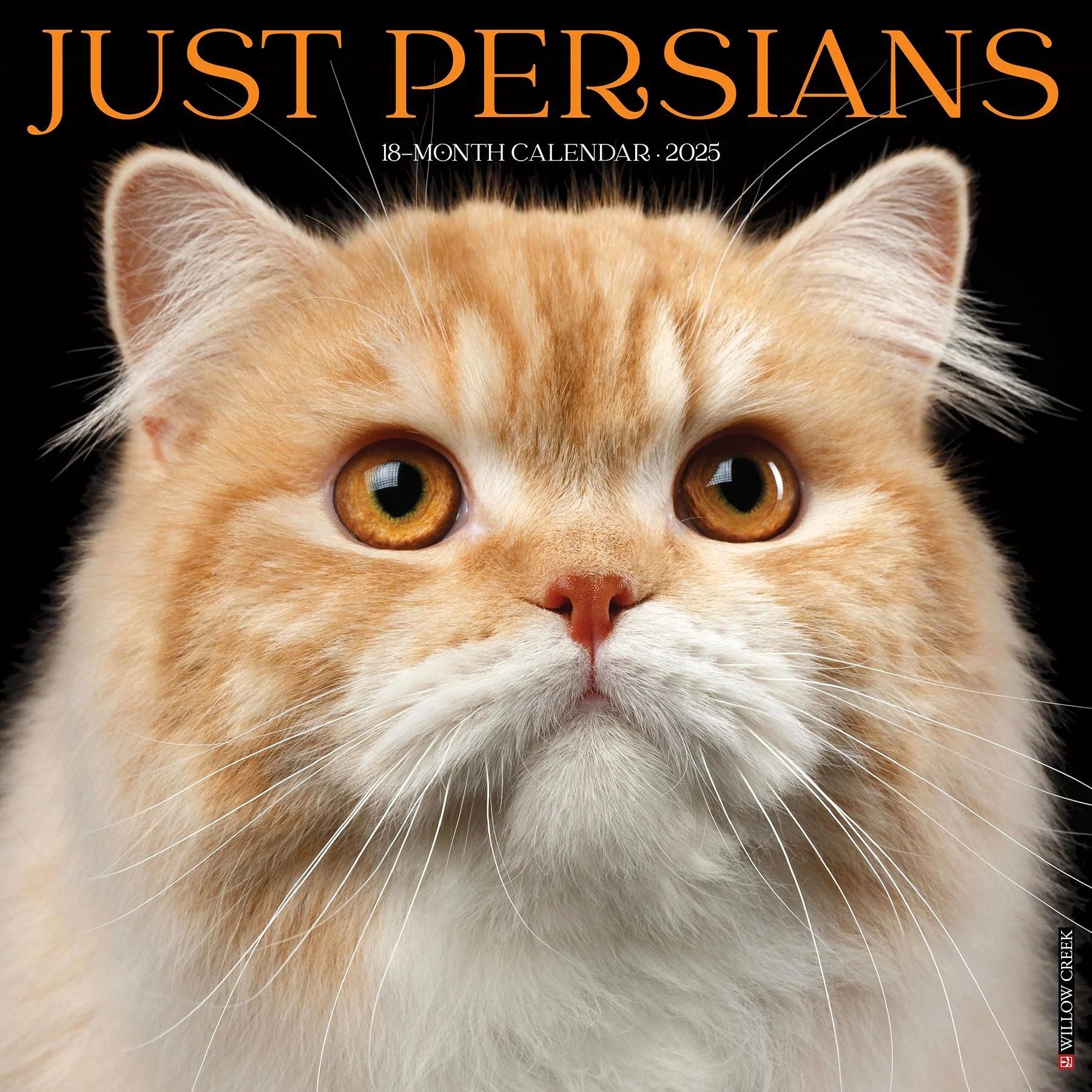 Persian Cats 2025 Wall Calendar